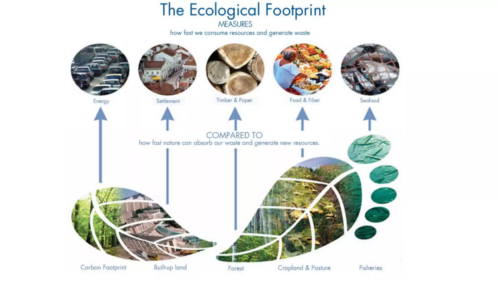 Development of holistic metrics of  agricultural and food system performance