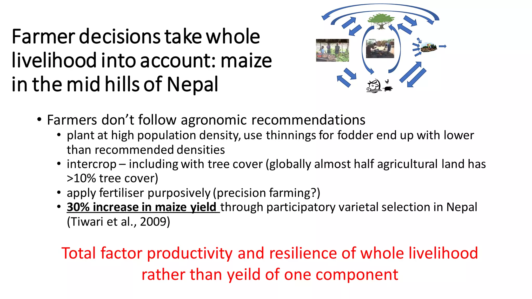 Farmer decisions takewhole
livelihood into account: maize
in the mid hillsof Nepal
• Farmers don’t follow agronomic recommendations
• plant at high population density,use thinnings for fodder end up with lower
than recommended densities
• intercrop – including with tree cover (globally almost half agricultural land has
>10% tree cover)
• apply fertiliser purposively(precision farming?)
• 30% increase in maize yield through participatory varietal selection in Nepal
(Tiwari et al., 2009)
Fertiliser
A
g
r
o
-
c
h
e
m
i
c
a
l
s
Higher yield
A
g
r
o
n
o
m
y
Thinni
ngs
and
residu
es
Fo
dd
er
at
ke
y
ti
m
es
Livestock
Non
Trees
Total factor productivity and resilience of whole livelihood
rather than yeild of one component
 