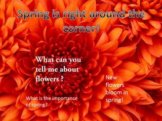 New
flowers
bloom in
spring!What is the importance
of spring?
 