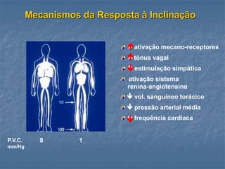 Mecanismos da Resposta à Inclinação


                              ativação mecano-receptores
                             
                             tônus vagal
                             
                              estimulação simpática
                             
                              ativação sistema
                              renina-angiotensina
                              vol. sanguíneo torácico
                              pressão arterial média
                             
                              frequência cardíaca

P.V.C.      8       1
mm/Hg
 