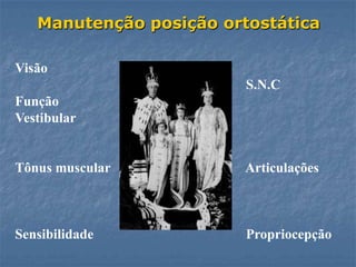 Manutenção posição ortostática

Visão
                         S.N.C
Função
Vestibular


Tônus muscular           Articulações



Sensibilidade            Propriocepção
 