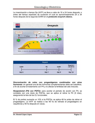 Ginecología y Obstetricia
La inseminación a tiempo fijo (IATF) se lleva a cabo de 16 a 24 horas después; o
antes del tiempo esperado de ovulación el cual es aproximadamente 24 a 34
horas después de la segunda GnRH en el protocolo ovsynch clásico.

Sincronización de celos con progestágenos combinados con otras
hormonas: en general una de las hormonas complementarias debe ser luteolitica,
a fin de acortar el tratamiento con P4 y no afectar la fertilidad del celo inducido.
Norgestomet (P4) con PGF2α: para acortar el periodo de acción con P4, se
completa con una dosis de PGF2α, que se aplica al retirar la P4 (9 días),
asegurando la lisis de los CL funcionales.
El % de preñez aumenta un 10% si la PGF2α, se aplica 48 hs antes de retirar el
progestágeno. La IATF se realiza a las 48 hs de retirado el progestágeno en
vaquillonas y 56 hs después en vacas.

Dr. Otoniel López López

Página 12

 