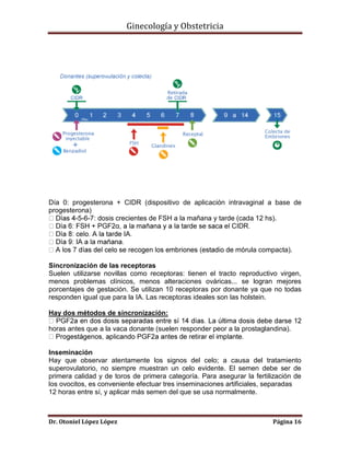 Ginecología y Obstetricia

Día 0: progesterona + CIDR (dispositivo de aplicación intravaginal a base de
progesterona)
-5-6-7: dosis crecientes de FSH a la mañana y tarde (cada 12 hs).

rula compacta).
Sincronización de las receptoras
Suelen utilizarse novillas como receptoras: tienen el tracto reproductivo virgen,
menos problemas clínicos, menos alteraciones ováricas... se logran mejores
porcentajes de gestación. Se utilizan 10 receptoras por donante ya que no todas
responden igual que para la IA. Las receptoras ideales son las holstein.
Hay dos métodos de sincronización:
horas antes que a la vaca donante (suelen responder peor a la prostaglandina).

Inseminación
Hay que observar atentamente los signos del celo; a causa del tratamiento
superovulatorio, no siempre muestran un celo evidente. El semen debe ser de
primera calidad y de toros de primera categoría. Para asegurar la fertilización de
los ovocitos, es conveniente efectuar tres inseminaciones artificiales, separadas
12 horas entre sí, y aplicar más semen del que se usa normalmente.

Dr. Otoniel López López

Página 16

 