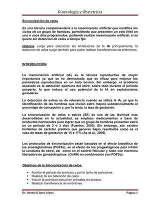 Ginecología y Obstetricia
Sincronización de celos
Es una técnica complementaria a la inseminación artificial que modifica los
ciclos de un grupo de hembras, permitiendo que presenten un celo fértil en
uno o unos días programados, pudiendo realizar inseminación artificial, si se
quiere sin detección de celos a tiempo fijo.
Historia: surge para solucionar las limitaciones de la IA principalmente, la
detección de celos surge también para poder realizar transferencias de embriones.

INTRODUCCIÓN

La inseminación artificial (IA) es la técnica reproductiva de mayor
importancia ya que se ha demostrado que es eficaz para mejorar los
parámetros reproductivos en un hato bovino. Sin embargo, el problema
asociado es la detección oportuna del estro, sobre todo durante el periodo
posparto, lo que reduce el uso potencial de la IA en explotaciones
ganaderas.
La detección de estros es de relevancia cuando se utiliza la IA, ya que la
identificación de las hembras que inician estro mejora substancialmente el
porcentaje de concepción y, por lo tanto, la tasa de gestación.
La sincronización de celos o estros (SE) es una de las técnicas más
desarrolladas en la actualidad, se emplean medicamentos a base de
productos hormonales para lograr que un grupo de hembras presenten estro
en un periodo de 2 o 3 días (Fuentes, 2005). Sin embargo, aún existen
limitantes de carácter práctico que generan bajos resultados como es el
caso de tasas de gestación de 15 a 17% (Ax et al., 2005).

Los protocolos de sincronización están basados en el efecto luteolítico de
las prostaglandinas (PGF2α), en el efecto de los progestágenos para inhibir
la conducta de estro, así como en el control folicular y lúteo con hormona
liberadora de gonadotropinas (GnRH) en combinación con PGF2α).

Objetivos de la Sincronización de celos:





Acortar el periodo de servicios y por lo tanto de pariciones.
Realizar IA sin detección de celos.
Inducir la actividad sexual en animales en anestro.
Realizar transferencia de embriones.

Dr. Otoniel López López

Página 1

 