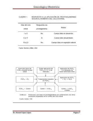 Ginecología y Obstetricia

Dr. Otoniel López López

Página 7

 