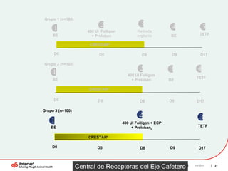 Sincronizacion de receptoras agroexpo 2009 | PPT