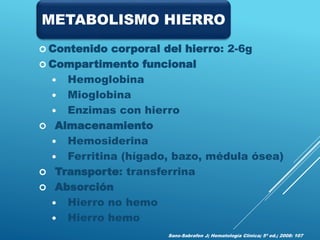  Contenido corporal del hierro: 2-6g
 Compartimento funcional
 Hemoglobina
 Mioglobina
 Enzimas con hierro
 Almacenamiento
 Hemosiderina
 Ferritina (hígado, bazo, médula ósea)
 Transporte: transferrina
 Absorción
 Hierro no hemo
 Hierro hemo
Sans-Sabrafen J; Hematología Clínica; 5ª ed.; 2008: 107
METABOLISMO HIERRO
 