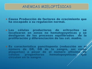  Causa Producción de factores de crecimiento que
ha escapado a su regulación normal.
 Las células productoras de eritrocitos se
localizaran en zonas no hematopoyeticas y se
desligaran de los procesos equilibrados de la
proliferación y diferenciación de las cel. madre.
 Es característica pancitopenia (reducción en el
número de GR, GB de la sangre, así como
plaquetas) a pesar de el número altísimo de
células progenitoras hematopoyeticas que
circulan en la sangre.
ANEMIAS MIELOPTÍSICAS
 