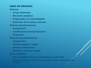 DAÑO DE ÓRGANOS:
Huesos:
 Crisis dolorosas
 Necrosis aséptica
 Propensión a la osteomielitis
 Síndrome de la mano y del pie
Sistema Genitourinario:
 Isosteinuria
 Insuficiencia renal progresiva
 Priapismo
Sistema Cardiopulmonar:
 Taquicardia
 Cardiomegalia y soplos
 Infartos pulmonares
 Síndrome torácico agudo
Bazo e hígado:
 Bazo palpable (niñez) y desaparece (pubertad)
 Hepatomegalia e ictericia en niños, crisis dolorosas en
adultos
 