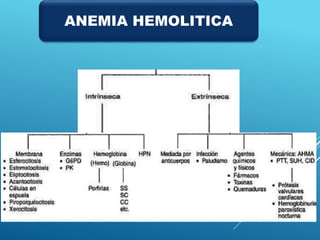 ANEMIA HEMOLITICA
 