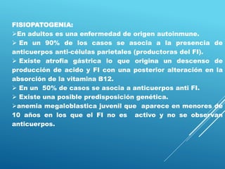 FISIOPATOGENIA:
En adultos es una enfermedad de origen autoinmune.
 En un 90% de los casos se asocia a la presencia de
anticuerpos anti-células parietales (productoras del FI).
 Existe atrofia gástrica lo que origina un descenso de
producción de acido y FI con una posterior alteración en la
absorción de la vitamina B12.
 En un 50% de casos se asocia a anticuerpos anti FI.
 Existe una posible predisposición genética.
anemia megaloblastica juvenil que aparece en menores de
10 años en los que el FI no es activo y no se observan
anticuerpos.
 
