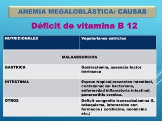 ANEMIA MEGALOBLÁSTICA: CAUSAS
Déficit de vitamina B 12
NUTRICIONALES Vegetarianos estrictos
MALAABSORCION
GASTRICA Gastrectomia, ausencia factor
intrinseco
INTESTINAL Esprue tropical,reseccion intestinal,
contaminacion bacteriana,
enfermedad inflamatoria intestinal,
pancreatitis cronica.
OTROS Deficit congenito transcobalamina II,
tabaquismo, interaccion con
farmacos ( colchicina, neomicina
etc.)
 
