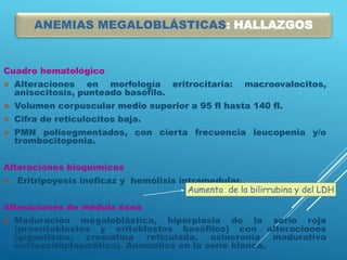 Cuadro hematológico
 Alteraciones en morfología eritrocitaria: macroovalocitos,
anisocitosis, punteado basófilo.
 Volumen corpuscular medio superior a 95 fl hasta 140 fl.
 Cifra de reticulocitos baja.
 PMN polisegmentados, con cierta frecuencia leucopenia y/o
trombocitopenia.
Alteraciones bioquímicas
 Eritripoyesis ineficaz y hemólisis intramedular.
Alteraciones de médula ósea
 Maduración megaloblástica, hiperplasia de la serie roja
(proeritoblastos y eritoblastos basófilos) con alteraciones
(gigantismo, cromatina reticulada, asincronía madurativa
nucleocitoplasmática). Anomalías en la serie blanca.
Aumento de la bilirrubina y del LDH
ANEMIAS MEGALOBLÁSTICAS: HALLAZGOS
 