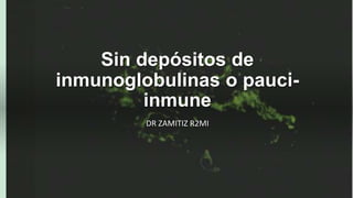 Sin depósitos de
inmunoglobulinas o pauci-
inmune
DR ZAMITIZ R2MI
 
