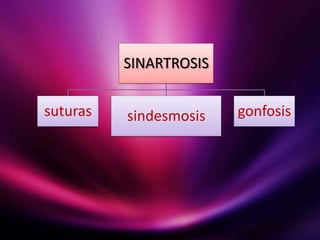 SINARTROSIS
suturas
sindesmosis
gonfosis