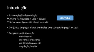 Introdução
• Artrologia/Sindesmologia
 Arthro = articulação + Logo = estudo
 Syndesmo = ligamento + Logo = estudo
• Conjunto de peças duras ou moles que conectam peças ósseas
• Funções: união/inserção
crescimento
movimento/alavanca
plasticidade/proteção
angulação/torção
JUNTURA
 