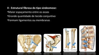 II - Estrutural fibrosa do tipo sindesmose:
•Maior espaçamento entre os ossos
•Grande quantidade de tecido conjuntivo
•Formam ligamentos ou membranas
 
