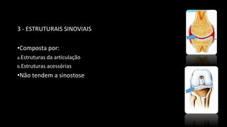 3 - ESTRUTURAIS SINOVIAIS
•Composta por:
a.Estruturas da articulação
b.Estruturas acessórias
•Não tendem a sinostose
 