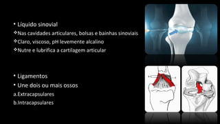 • Líquido sinovial
Nas cavidades articulares, bolsas e bainhas sinoviais
Claro, viscoso, pH levemente alcalino
Nutre e lubrifica a cartilagem articular
• Ligamentos
• Une dois ou mais ossos
a.Extracapsulares
b.Intracapsulares
 