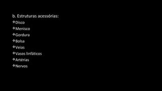 b. Estruturas acessórias:
Disco
Menisco
Gordura
Bolsa
Veias
Vasos linfáticos
Artérias
Nervos
 
