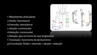 • Movimento articulares
a.Flexão: laterolateral
b.Extensão: laterolateral
c.Adução: craniocaudal
d.Abdução: craniocaudal
e.Rotação: giro em torno do eixo longitudinal
f. Translação: movimento de deslizamento
g.Circundação: flexão + extensão + adução + abdução
 