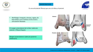 SINDESMOSIS.pptx