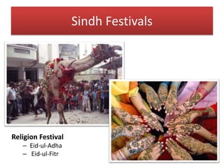 Sindh Festivals
Religion Festival
– Eid-ul-Adha
– Eid-ul-Fitr
 