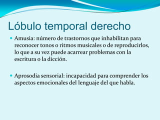 Lóbulo temporal derecho
 Amusia: número de trastornos que inhabilitan para
reconocer tonos o ritmos musicales o de reproducirlos,
lo que a su vez puede acarrear problemas con la
escritura o la dicción.
 Aprosodia sensorial: incapacidad para comprender los
aspectos emocionales del lenguaje del que habla.
 
