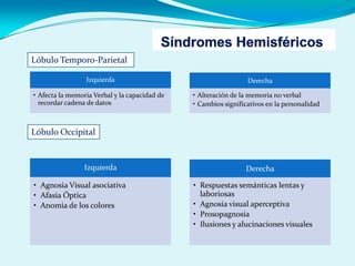 Izquierda
• Afecta la memoria Verbal y la capacidad de
recordar cadena de datos
Derecha
• Alteración de la memoria no verbal
• Cambios significativos en la personalidad
Lóbulo Temporo-Parietal
Lóbulo Occipital
Izquierda
• Agnosia Visual asociativa
• Afasia Óptica
• Anomia de los colores
Derecha
• Respuestas semánticas lentas y
laboriosas
• Agnosia visual aperceptiva
• Prosopagnosia
• Ilusiones y alucinaciones visuales
 