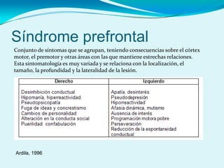 Síndrome prefrontal
Conjunto de síntomas que se agrupan, teniendo consecuencias sobre el córtex
motor, el premotor y otras áreas con las que mantiene estrechas relaciones.
Esta sintomatología es muy variada y se relaciona con la localización, el
tamaño, la profundidad y la lateralidad de la lesión.
Ardila, 1996
 