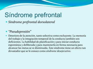 Síndrome prefrontal
 Síndrome prefrontal dorsolateral
 “Pseudepresión”
 Deterioro de la atención, tanto selectiva como excluyente. La memoria
del trabajo y la integración temporal de la conducta también son
deficientes. La habilidad de planificación y para iniciar conducta
espontánea y deliberada y para mantenerla en forma necesaria para
alcanzar las metas se ve disminuida. Este síndrome tiene un efecto tan
devastador que se le conoce como síndrome desejecutivo.
 
