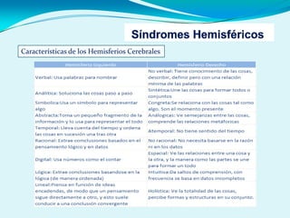 Características de los Hemisferios Cerebrales
 