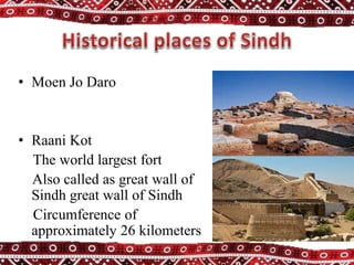 • Moen Jo Daro
• Raani Kot
The world largest fort
Also called as great wall of
Sindh great wall of Sindh
Circumference of
approximately 26 kilometers
 