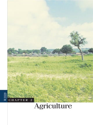 Sindh strategy for sustainable development | PDF
