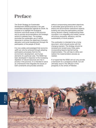 Sindh strategy for sustainable development | PDF
