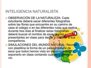INTELIGENCIA NATURALISTA
 OBSERVACIÓN DE LA NATURALEZA: Cada
estudiante deberá sacar diferentes fotografías
sobre las flores que encuentre en su camino de
casa al colegio o en las diferentes rutas que realice
durante tres días al finalizar estas fotografías
deberá buscar el nombre de esas plantas y
presentarlas en clase para darlas a conocer a sus
compañeros.
 SIMULACIONES DEL MUNDO NATURAL: Recrear
con plastilina la forma de un paisaje natural de
esos que todos hemos visto en algún momento y
exponerlo en clase contando cuándo y dónde lo
vio.
 