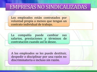 EMPRESAS NO SINDICALIZADAS
Los empleados están contratados por
voluntad propia a menos que tengan un
contrato individual de trabajo.


La compañía puede cambiar sus
salarios, prestaciones y términos de
contratación cuando así lo desee.


A los empleados se les puede destituir,
despedir o disciplinar por una razón no
discriminatoria o incluso sin razón.
 