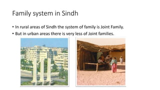 Family system in Sindh
• In rural areas of Sindh the system of family is Joint Family.
• But in urban areas there is very less of Joint families.
 