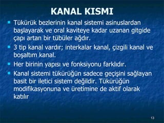KANAL KISMI Tükürük bezlerinin kanal sistemi asinuslardan başlayarak ve oral kaviteye kadar uzanan gitgide çapı artan bir tübüler ağdır.  3 tip kanal vardır; interkalar kanal, çizgili kanal ve boşaltım kanal.  Her birinin yapısı ve fonksiyonu farklıdır.  Kanal sistemi tükürüğün sadece geçişini sağlayan basit bir iletici sistem değildir. Tükürüğün modifikasyonuna ve üretimine de aktif olarak katılır  