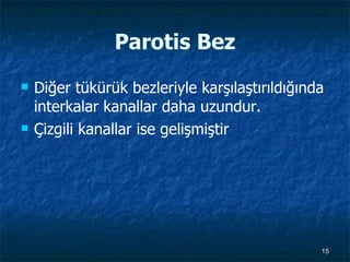 Parotis Bez Diğer tükürük bezleriyle karşılaştırıldığında interkalar kanallar daha uzundur. Çizgili kanallar ise gelişmiştir 