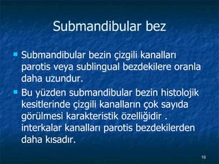 Submandibular bez Submandibular bezin çizgili kanalları parotis veya sublingual bezdekilere oranla daha uzundur.  Bu yüzden submandibular bezin histolojik kesitlerinde çizgili kanalların çok sayıda görülmesi karakteristik özelliğidir . interkalar kanalları parotis bezdekilerden daha kısadır. 