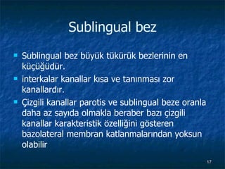 Sublingual bez Sublingual bez büyük tükürük bezlerinin en küçüğüdür. interkalar kanallar kısa ve tanınması zor kanallardır.  Çizgili kanallar parotis ve sublingual beze oranla daha az sayıda olmakla beraber bazı çizgili kanallar karakteristik özelliğini gösteren bazolateral membran katlanmalarından yoksun olabilir 