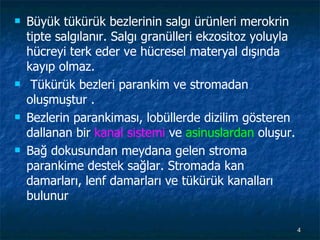 Büyük tükürük bezlerinin salgı ürünleri merokrin tipte salgılanır. Salgı granülleri ekzositoz yoluyla hücreyi terk eder ve hücresel materyal dışında kayıp olmaz. Tükürük bezleri parankim ve stromadan oluşmuştur .  Bezlerin parankiması, lobüllerde dizilim gösteren dallanan bir  kanal sistemi  ve  asinuslardan  oluşur.  Bağ dokusundan meydana gelen stroma parankime destek sağlar. Stromada kan damarları, lenf damarları ve tükürük kanalları bulunur 