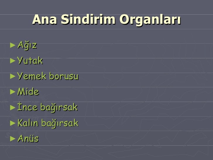 Sindirim Sistemi