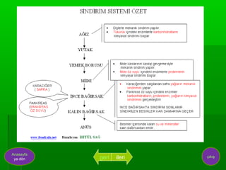 Anasayfa
 ya dön    geri   ileri   çıkış
 
