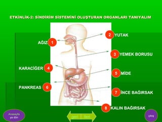 ETKİNLİK-2: SİNDİRİM SİSTEMİNİ OLUŞTURAN ORGANLARI TANIYALIM



                                          2 YUTAK
              AĞIZ 1

                                            3 YEMEK BORUSU


       KARACİĞER   4
                                             5 MİDE


       PANKREAS    6
                                             7 İNCE BAĞIRSAK


                                         8 KALIN BAĞIRSAK
Anasayfa
                                                            çıkış
 ya dön                   geri   ileri
 
