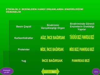 ETKİNLİK-3: BESİNLERİN HANGİ ORGANLARDA SİNDİRİLDİĞİNİ
   ÖĞRENELİM




                                                   Sindiriminde Görevli
                                 Sindirimin
            Besin Çeşidi                           Enzimlerin Üretildiği
                             Gerçekleştiği Organ
                                                          Yapılar


           Karbonhidratlar



             Proteinler



                Yağ


Anasayfa
 ya dön                        geri   ileri                            çıkış
 