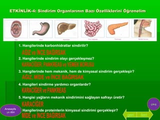 ETKİNLİK-4: Sindirim Organlarının Bazı Özelliklerini Öğrenelim




           1. Hangilerinde karbonhidratlar sindirilir?


           2. Hangilerinde sindirim olayı gerçekleşmez?


           3. Hangilerinde hem mekanik, hem de kimyasal sindirim gerçekleşir?


           4. Hangileri sindirme yardımcı organlardır?


           5. Hangisi yağların mekanik sindirimini sağlayan safrayı üretir?
                                                                                             çıkış
Anasayfa
 ya dön
           6. Hangilerinde proteinlerin kimyasal sindirimi gerçekleşir?
                                                                              geri   ileri
 