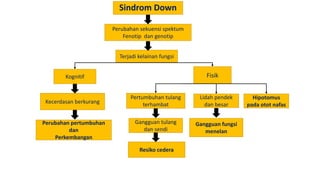 Perubahan sekuensi spektum
Fenotip dan genotip
Terjadi kelainan fungsi
Kognitif
Kecerdasan berkurang
Perubahan pertumbuhan
dan
Perkembangan
Gangguan tulang
dan sendi
Resiko cedera
Lidah pendek
dan besar
Gangguan fungsi
menelan
Hipotomus
pada otot nafas
Fisik
Pertumbuhan tulang
terhambat
Sindrom Down
 