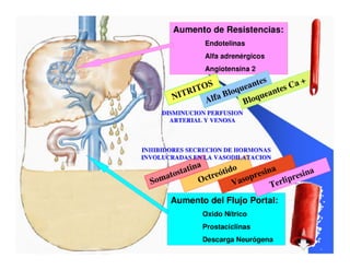 Sindrome Ascitico Edematoso